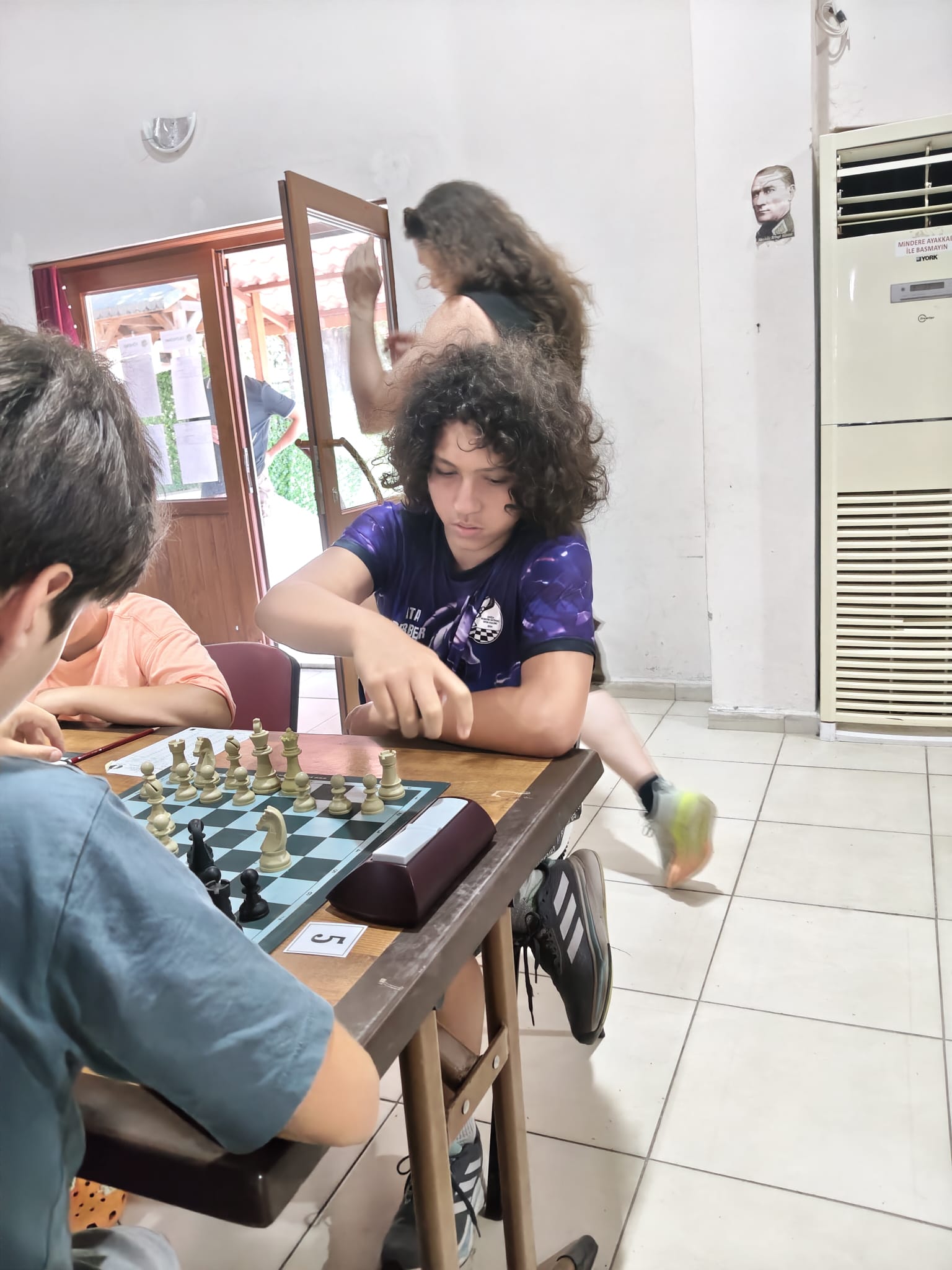 Satranç çalışması 17
